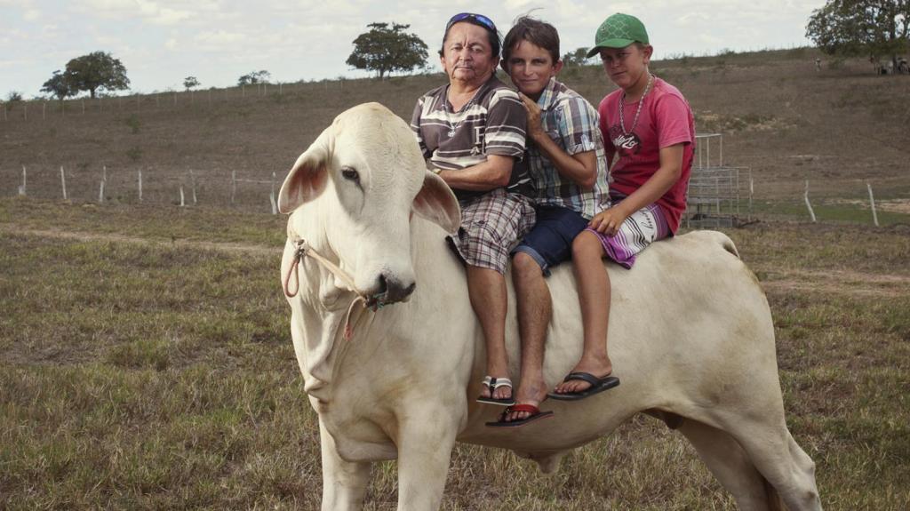 The Week in Stories Around the Globe