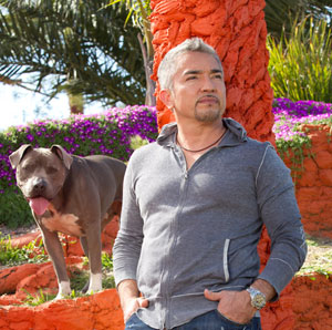 CesarMilan1.jpg