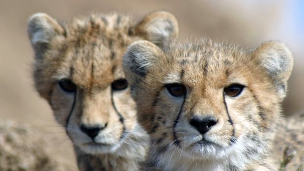 The Week in Stories Around the Globe