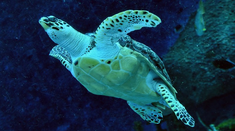 The Week in Stories Around the Globe