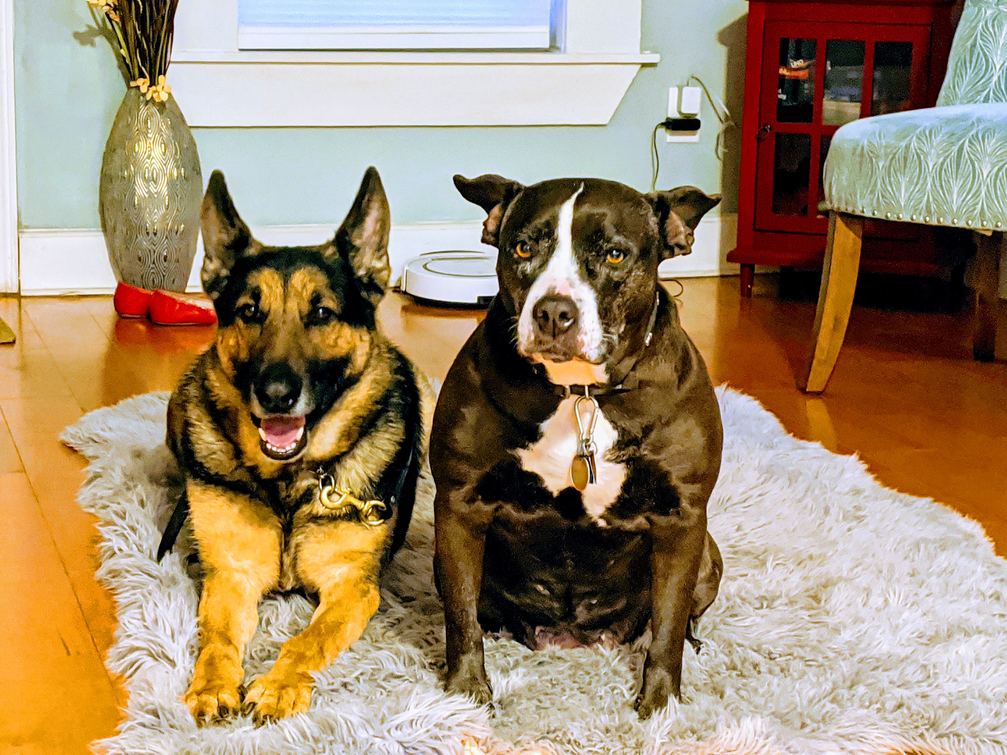 signal-2020-02-25-182147