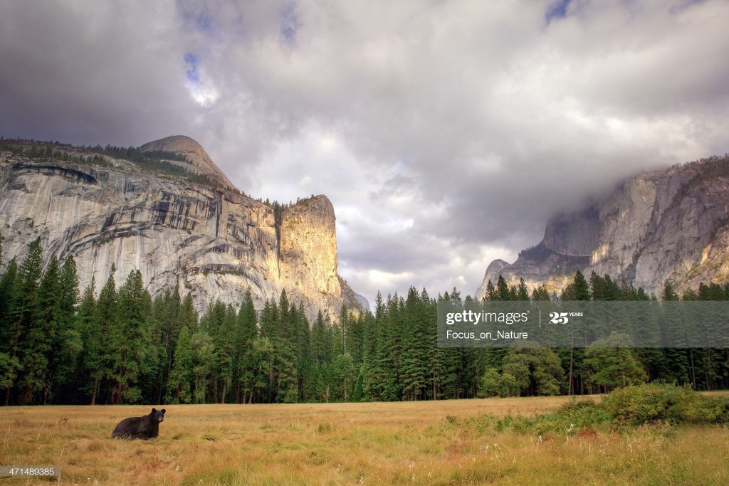 The Week in Stories Around the Globe