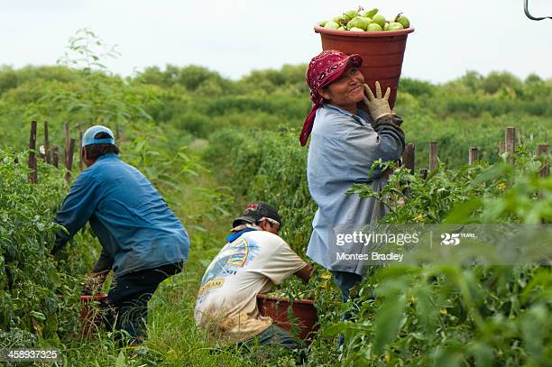 The Week in Stories Around the Globe