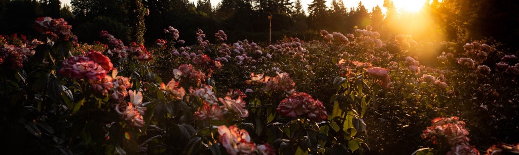 The Week in Stories Around the Globe