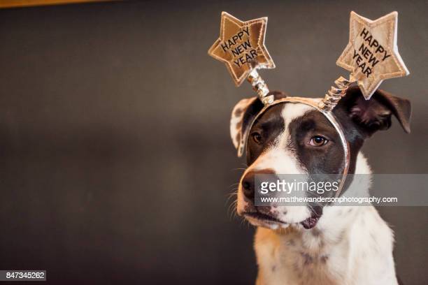 Happy New Year, COVID19!