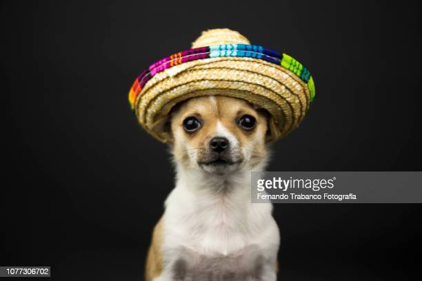 The Week in Stories Around the&nbsp;Globe