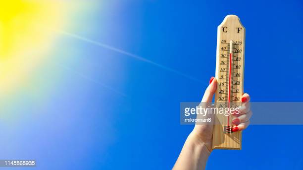 The Week in Stories Around the&nbsp;Globe