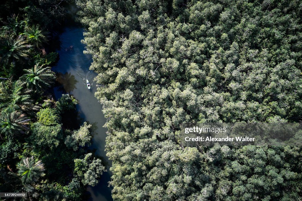 The Week in Stories Around the Globe