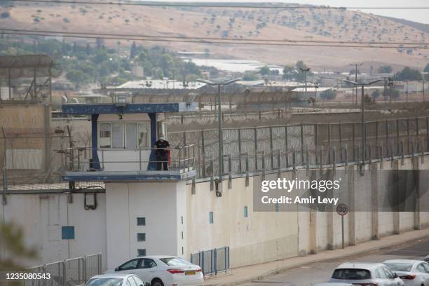 The Week in Stories Around the&nbsp;Globe