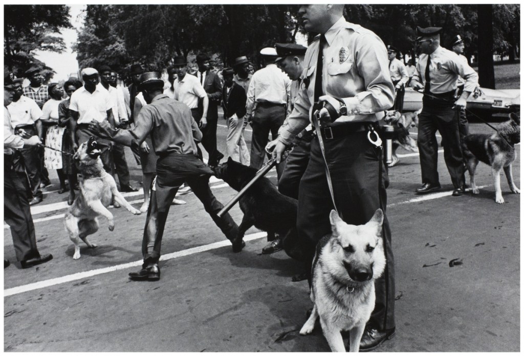 We’re All Niggas,&nbsp;Too!